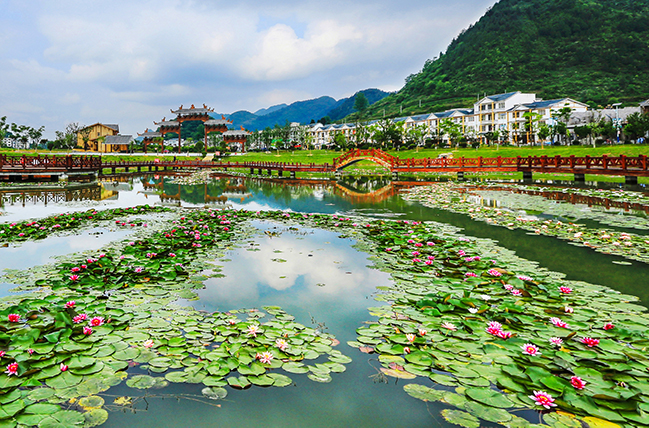 《德江煎茶鎮(zhèn)新農(nóng)村》